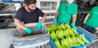 SE REQUIERE OPERARIO DE PRODUCCIÓN PARA ENVASADO DE ALIMENTOS (JORNADA PARCIAL)