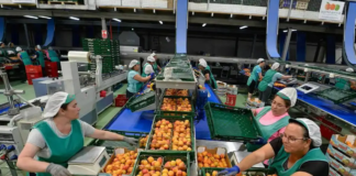 SE SOLICITA TRABAJADOR DE PRODUCCIÓN PARA ENVASADO DE ALIMENTOS (LUNES A VIERNES)