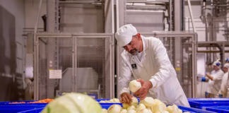 SE SOLICITA TRABAJADOR DE PRODUCCIÓN PARA CONTROL DE CALIDAD DE PRODUCTOS, NO SE REQUIERE EXPERIENCIA