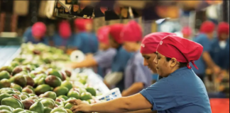 SE REQUIERE OPERARIOS DE PRODUCCIÓN CON FLEXIBILIDAD DE HORARIO
