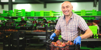 SE SOLICITA AUXILIAR DE PRODUCCIÓN PARA CONTROL Y CLASIFICACIÓN DE PRODUCTOS EN CAJAS