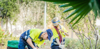 SE REQUIERE AUXILIAR DE JARDINERÍA PARA MANTENIMIENTO Y PODA DE ÁREAS VERDES