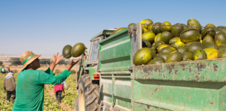 SE REQUIERE OPERADOR DE EQUIPOS AGRÍCOLAS PARA CARGA Y DESCARGA DE PRODUCTOS