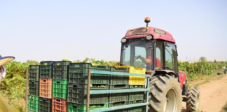 SE REQUIERE OPERADOR DE EQUIPOS AGRÍCOLAS PARA CARGA DE PRODUCTOS