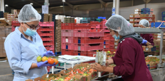 SE SOLICITA EMPAQUETADOR PARA INSPECCIÓN Y EMBALAJE DE ALIMENTOS