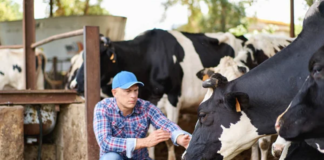 SE SOLICITA AYUDANTE DE FINCA PARA CUIDADO DE ANIMALES Y MANTENIMIENTO DE INSTALACIONES