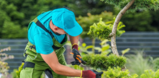 SE REQUIERE JARDINERO PARA MANTENIMIENTO GENERAL DE TERRENOS