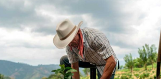 SE SOLICITA TRABAJADOR AGRÍCOLA DE TIEMPO PARCIAL PARA COSECHA DE GRANOS