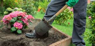 SE SOLICITA JARDINERO PARA PREPARACIÓN DE TERRENO (HOMBRE Y/O MUJER)