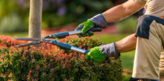 SE REQUIERE JARDINERO PARA PODA DE CÉSPED Y ARBUSTOS (LUNES A VIERNES)