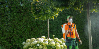 SE REQUIERE JARDINERO PARA CUIDADO Y MANTENIMIENTO DE PLANTAS