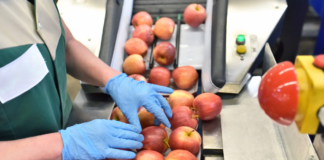 SE SOLICITA ENVASADOR DE FRUTA CON O SIN EXPERIENCIA PARA JORNADA COMPLETA