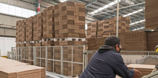SE SOLICITA EMPACADOR DE CAJAS PARA CONTROL DE CALIDAD Y EMBALAJE DE PRODUCTOS