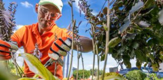 SE REQUIERE JARDINERO PARA MANTENIMIENTO Y CUIDADO DE ZONAS VERDES