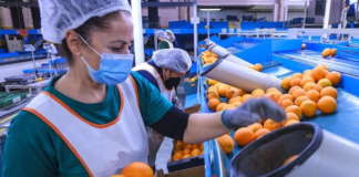 SE REQUIERE PERSONAL DE ALMACÉN PARA ENCAJADO Y ENVASADO DE FRUTAS