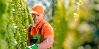 SE REQUIERE JARDINERO PARA CUIDADO DE ARBUSTOS Y LABORES DE MANTENIMIENTO