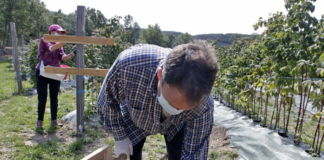 SE SOLICITA TRABAJADOR PARA FINCA AGRÍCOLA DE FRAMBUESAS Y ARÁNDANOS