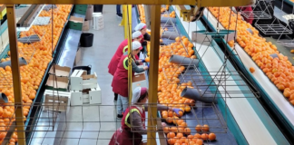 SE SOLICITA AUXILIAR DE PRODUCCIÓN CON DISPONIBILIDAD LOS FINES DE SEMANA