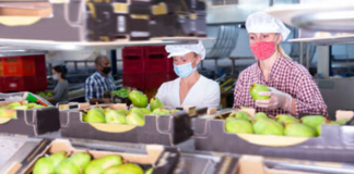 SE REQUIERE OPERARIO DE PRODUCCIÓN CON DISPONIBILIDAD HORARIA