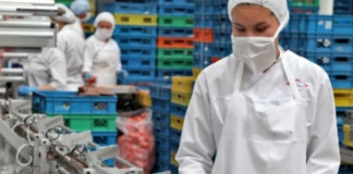 SE SOLICITA AUXILIAR DE PRODUCCIÓN PARA SELLADO Y EMPAQUETADO