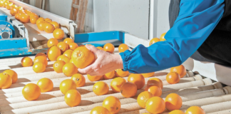 SE REQUIERE TRABAJADOR DE PRODUCCIÓN PARA ENVASADO DE FRUTAS Y VERDURAS