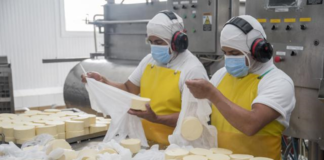 SE SOLICITA AUXILIAR DE PRODUCCIÓN PARA PROCESAMIENTO Y EMBALAJE DE QUESO