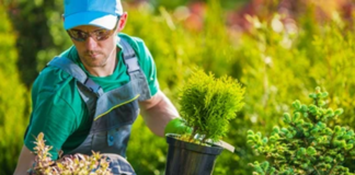 SE REQUIERE JARDINERO PARA MANTENIMIENTO DE ZONAS VERDES (TIEMPO COMPLETO)