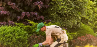 SE REQUIERE JARDINERO PARA PODA Y MANTENIMIENTO DE ÁREAS VERDES, NO SE REQUIERE EXPERIENCIA