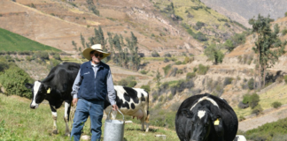 SE REQUIERE TRABAJADOR DE GRANJA CON MÍNIMA EXPERIENCIA PARA CUIDADO DE ANIMALES Y MANTENIMIENTO DE INSTALACIONES