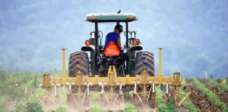 SE REQUIERE PEÓN AGRÍCOLA PARA MANEJO DE MAQUINARIA EN COSECHA