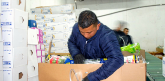 SE SOLICITA PERSONAL DE ALMACÉN PARA EMBALAJE Y CONTROL DE INVENTARIO