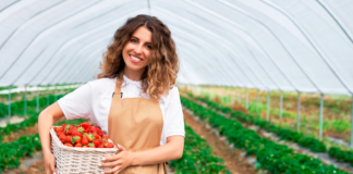 SE SOLICITA TRABAJADOR DE INVERNADERO PARA COSECHA MANUAL DE PRODUCTOS