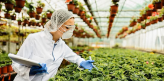 SE SOLICITA TRABAJADOR DE INVERNADERO PARA CONTROL DE PRODUCTOS (TIEMPO COMPLETO Y MEDIO TIEMPO)