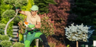 SE NECESITA JARDINERO CON O SIN EXPERIENCIA PARA MANTENIMIENTO DE ÁREAS