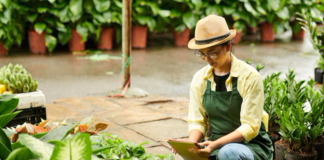 SE NECESITA TRABAJADOR DE VIVERO CON O SIN EXPERIENCIA PARA MANTENIMIENTO DE PLANTAS