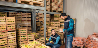 SE NECESITA TRABAJADOR DE ALMACÉN PARA CONTROL DE MERCADERÍA EN BODEGA DE FRUTAS Y VERDURAS
