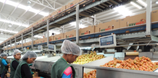 SE SOLICITA TRABAJADOR DE PRODUCCIÓN PARA PROCESAMIENTO DE ALIMENTOS Y BEBIDAS