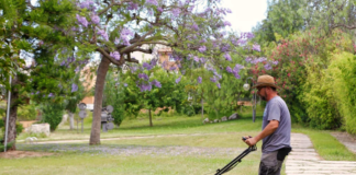 SE NECESITA JARDINERO/A PARA MANEJO DE MAQUINARIA (JORNADA COMPLETA)