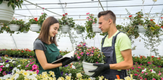 SE SOLICITA TRABAJADOR DE VIVERO PARA CLASIFICACIÓN Y ETIQUETADO DE PLANTAS