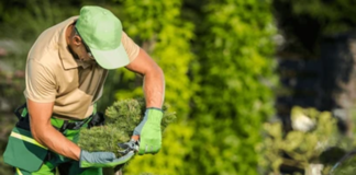 SE SOLICITA JARDINERO CON O SIN EXPERIENCIA PARA MANTENIMIENTO DE ÁREAS VERDES