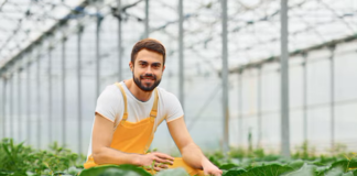 SE NECESITA TRABAJADOR DE INVERNADERO PARA RIEGO Y CUIDADO DE PLANTAS