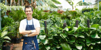 SE SOLICITA TRABAJADOR DE INVERNADERO PARA COSECHA MANUAL DE VERDURAS (TIEMPO COMPLETO)