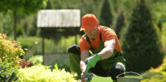 ESTAMOS EN LA BÚSQUEDA DE JARDINERO PARA MANTENIMIENTO INTEGRAL DE ÁREAS VERDES