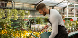 SE SOLICITA TRABAJADOR DE VIVERO CON MÍNIMA EXPERIENCIA PARA LABORES DE DESHIERBE Y CUIDADO DE PLANTAS