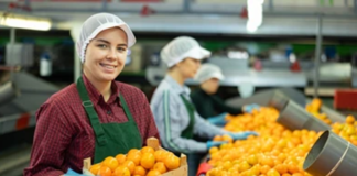 SE SOLICITA EMPACADOR DE FRUTAS Y VERDURAS EN CAJA (TIEMPO COMPLETO)