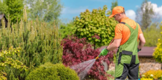 SE SOLICITA JARDINERO PARA PODA Y MANTENIMIENTO DE TERRENOS