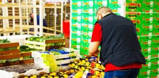 SE NECESITA MOZO DE ALMACÉN PARA ENVASADO Y PREPARACIÓN DE PEDIDOS