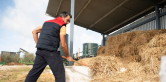 SE REQUIERE PEÓN DE GRANJA PARA MANTENIMIENTO DE INSTALACIONES EN JORNADA PARCIAL