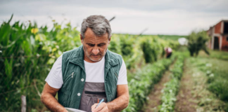 SE SOLICITA TRABAJADOR AGRÍCOLA PARA CONTROL DE CAMPOS EN COSECHA
