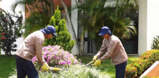 SE SOLICITA AYUDANTE DE MANTENIMIENTO PARA ZONAS VERDES Y ÁREAS GENERALES
